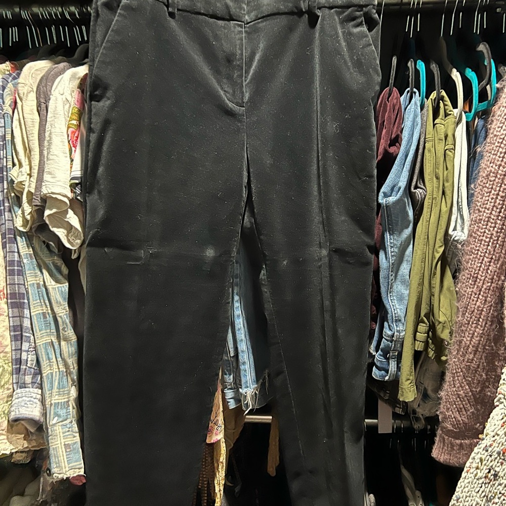 Loft Women’s Black Velvet Skinny Pants Size 8